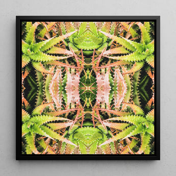 Centre Stage - Trippy Cactus Art Framed Canvas, 12x12’’ / 31x31cm / Black Floating Frame, Symmetrical Kaleidoscopic Pattern Green Pink