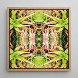 Centre Stage - Trippy Cactus Art Framed Canvas, 12x12’’ / 31x31cm / Natural Floating Frame, Square Framed Artwork Vibrant Symmetrical
