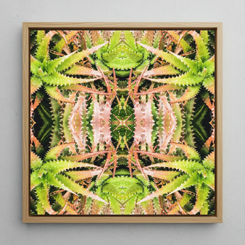 Centre Stage - Trippy Cactus Art Framed Canvas, 12x12’’ / 31x31cm / Natural Floating Frame, Square Framed Artwork Vibrant Symmetrical