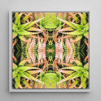 Centre Stage - Trippy Cactus Art Framed Canvas, 12x12’’ / 31x31cm / White Floating Frame, Kaleidoscopic Aloe Vera Art