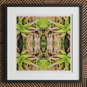Centre Stage - Trippy Cactus Art Print, 12x12’’ / 31x31cm / Black Frame / 2’’ Matboard, Framed Square Abstract Artwork Green Pink Spiky