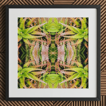 Centre Stage - Trippy Cactus Art Print, 12x12’’ / 31x31cm / Cornice Nera / Passepartout 2’’, Poster Stampe & Opere Visive, Toby Leon