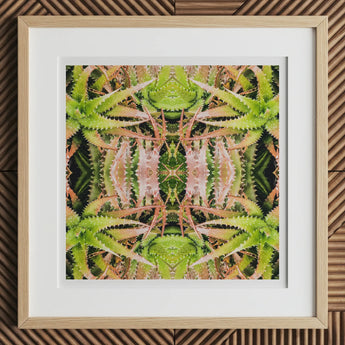 Centre Stage - Trippy Cactus Art Print, 12x12’’ / 31x31cm / Natural Frame / 2’’ Matboard, Framed Square Abstract Print Green Pink Succulent