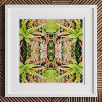 Centre Stage - Trippy Cactus Art Print, 12x12’’ / 31x31cm / White Frame / 2’’ Matboard, Framed Abstract Art Print Spiky Green Pink Succulent