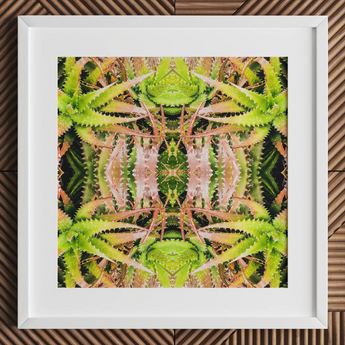 Centre Stage - Trippy Cactus Art Print, 12x12’’ / 31x31cm / Cornice Bianca / Passepartout 2’’, Poster Stampe & Opere Visive, Toby Leon