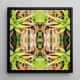 Centre Stage - Trippy Cactus Kunstdruck / Leinwand, 12x12’’ / 31x31cm / Schwarzer Rahmen, Poster, Drucke & visuelle Kunstwerke, Toby Leon