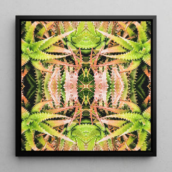 Centre Stage - Trippy Cactus Kunstdruck / Leinwand, 12x12’’ / 31x31cm / Schwarzer Rahmen, Poster, Drucke & visuelle Kunstwerke, Toby Leon