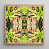 Centre Stage - Trippy Cactus Kunstdruck / Leinwand, 12x12’’ / 31x31cm / Naturrahmen, Poster, Drucke & visuelle Kunstwerke, Toby Leon