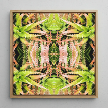 Centre Stage - Trippy Cactus Kunstdruck / Leinwand, 12x12’’ / 31x31cm / Naturrahmen, Poster, Drucke & visuelle Kunstwerke, Toby Leon