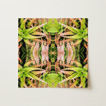 Centre Stage - Trippy Cactus Art Print / Canvas, 12x12’’ / 31x31cm / Unframed / no Border, Posters Prints & Visual Artwork, Toby Leon