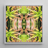 Centre Stage - Trippy Cactus Kunstdruck / Leinwand, 12x12’’ / 31x31cm / Weißer Rahmen, Poster, Drucke & visuelle Kunstwerke, Toby Leon