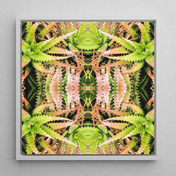 Centre Stage - Trippy Cactus Kunstdruck / Leinwand, 12x12’’ / 31x31cm / Weißer Rahmen, Poster, Drucke & visuelle Kunstwerke, Toby Leon