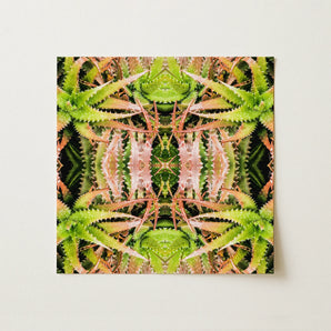 Centre Stage - Trippy Cactus Art Print / Canvas, Trippy Cactus Succulent, Cactus Succulent Art, Botanical Surrealism Meets