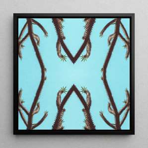 Chain Reaction - Trippy Succulent Art Framed Canvas, 12x12’’ / 31x31cm / Black Floating Frame, Symmetrical Pattern Palm Tree Branches Light