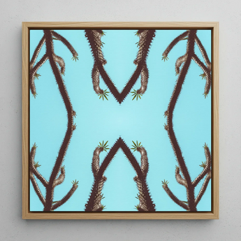 Chain Reaction - Trippy Succulent Art Framed Canvas, 12x12’’ / 31x31cm / Natural Floating Frame, Framed Square Art Print Symmetrical Cactus
