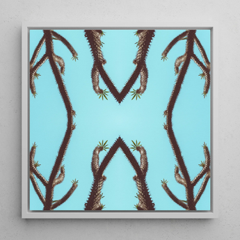 Chain Reaction - Trippy Succulent Art Framed Canvas, 12x12’’ / 31x31cm / White Floating Frame, Symmetrical Botanical Art Print
