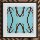 Chain Reaction - Trippy Succulent Art Print, 12x12’’ / 31x31cm / Black Frame / 2’’ Matboard, Posters Prints & Visual Artwork, Toby Leon