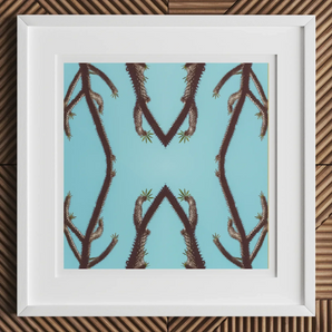 Chain Reaction - Trippy Succulent Art Print, 12x12’’ / 31x31cm / White Frame / 2’’ Matboard, Framed Art Print Symmetrical Abstract Pattern