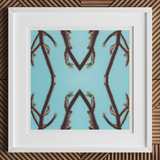 Chain Reaction - Trippy Succulent Art Print, 12x12’’ / 31x31cm / White Frame / 2’’ Matboard, Framed Art Print Symmetrical Abstract Pattern