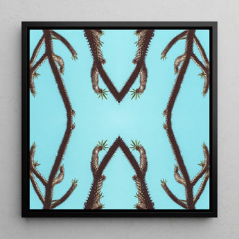 Chain Reaction - Tirage d'art de succulente psychédélique / Toile, 12x12’’ / 31x31cm / Cadre noir, Affiches, estampes et art visuel, Toby Leon