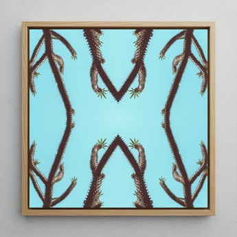 Chain Reaction - Tirage d'art de succulente psychédélique / Toile, 12x12’’ / 31x31cm / Cadre naturel, Affiches, estampes et art visuel, Toby Leon