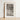 Framed Black-and-white Light Wood Frame White Figures Dogs Winged Caricatures Scuttle, Sweeping Bird, Dim Doorway