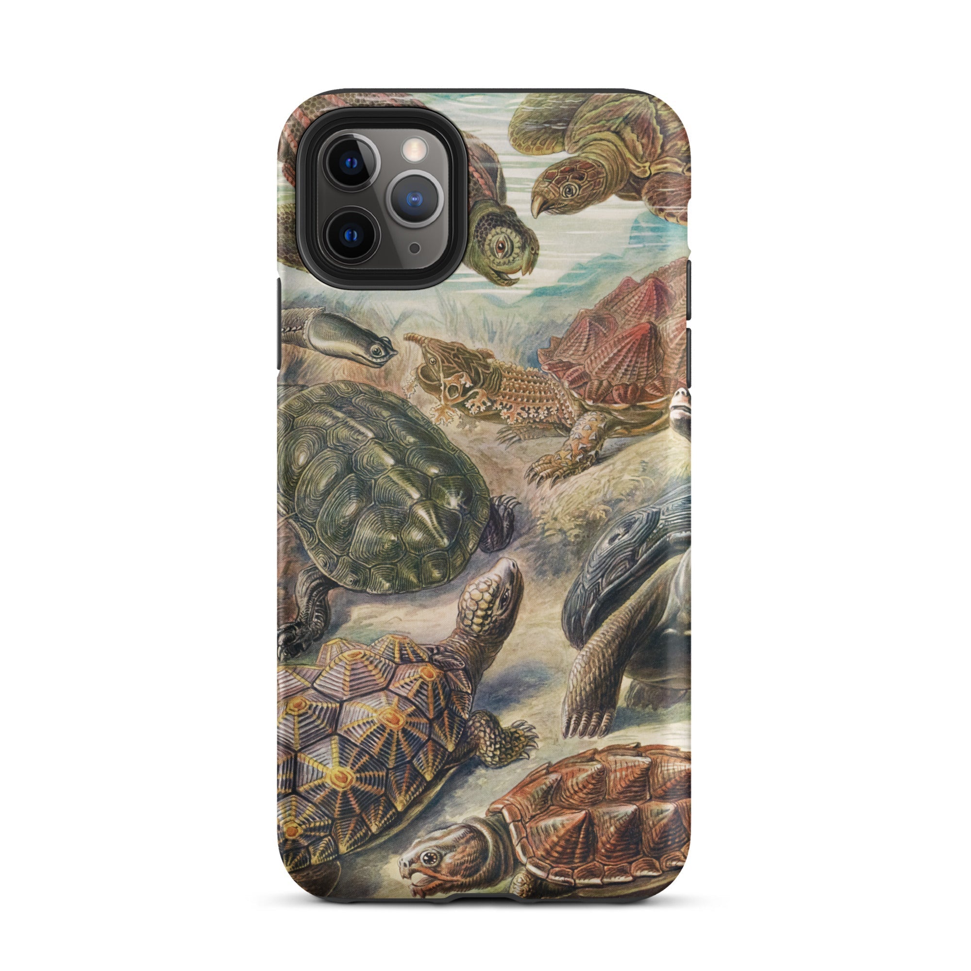 Chelonia Turtles Ernst Haeckel Iphone Case, 11 Pro Max / Matte, Turtle Themed Phone Case