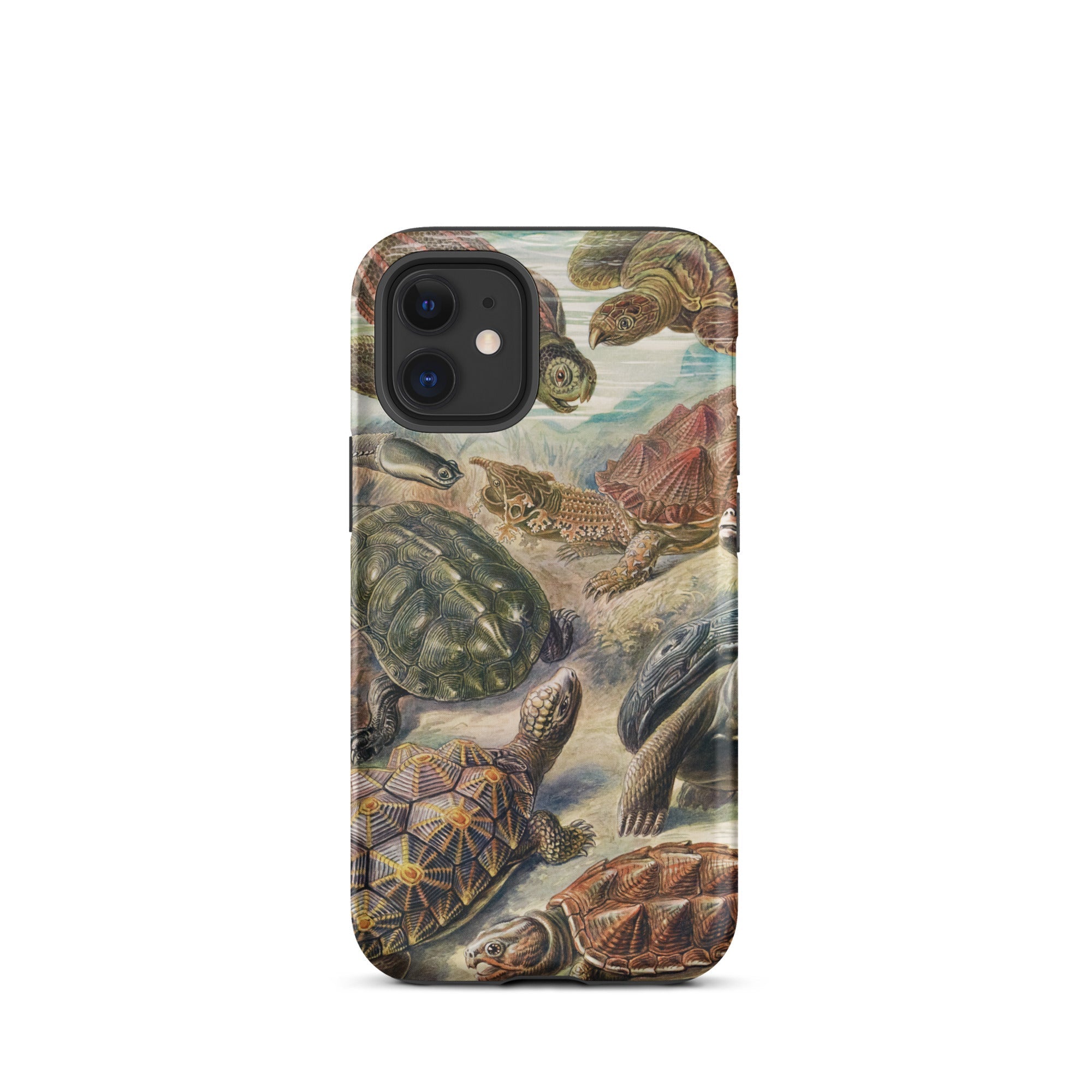 Chelonia Turtles Ernst Haeckel Iphone Case, 12 Mini / Matte, Turtle Patterned Phone Case