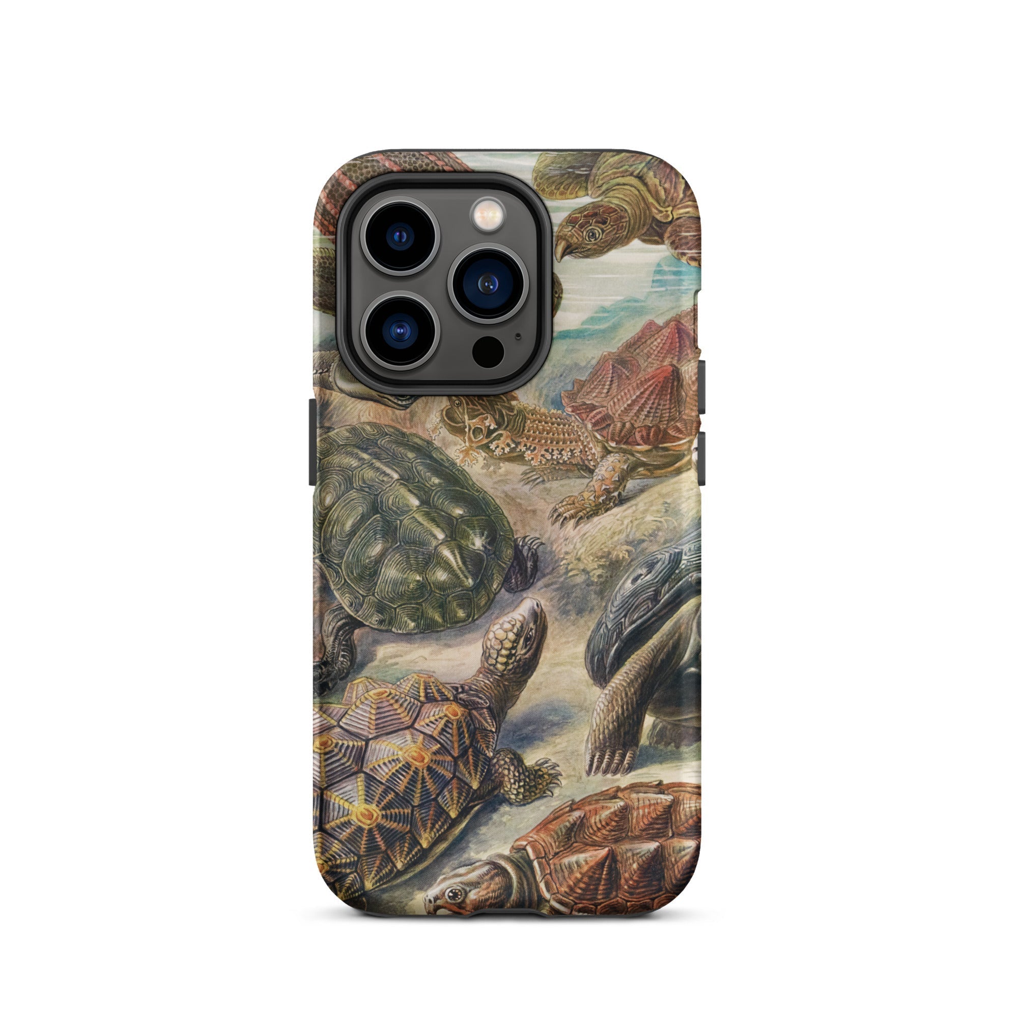 Chelonia Turtles Ernst Haeckel Iphone Case, 14 Pro / Matte, Turtle Patterned Phone Case