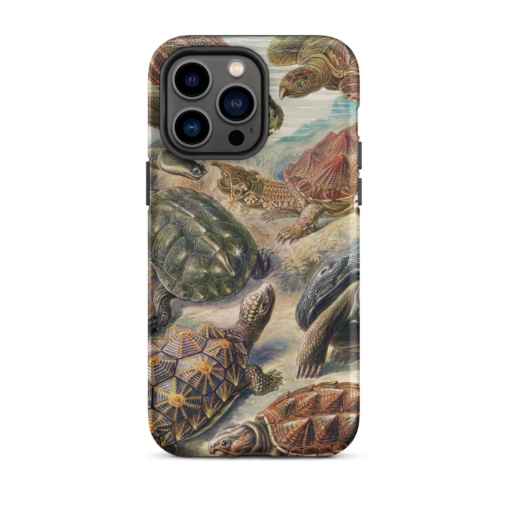 Chelonia Turtles Ernst Haeckel Iphone Case, 14 Pro Max / Matte, Turtle Patterned Phone Case