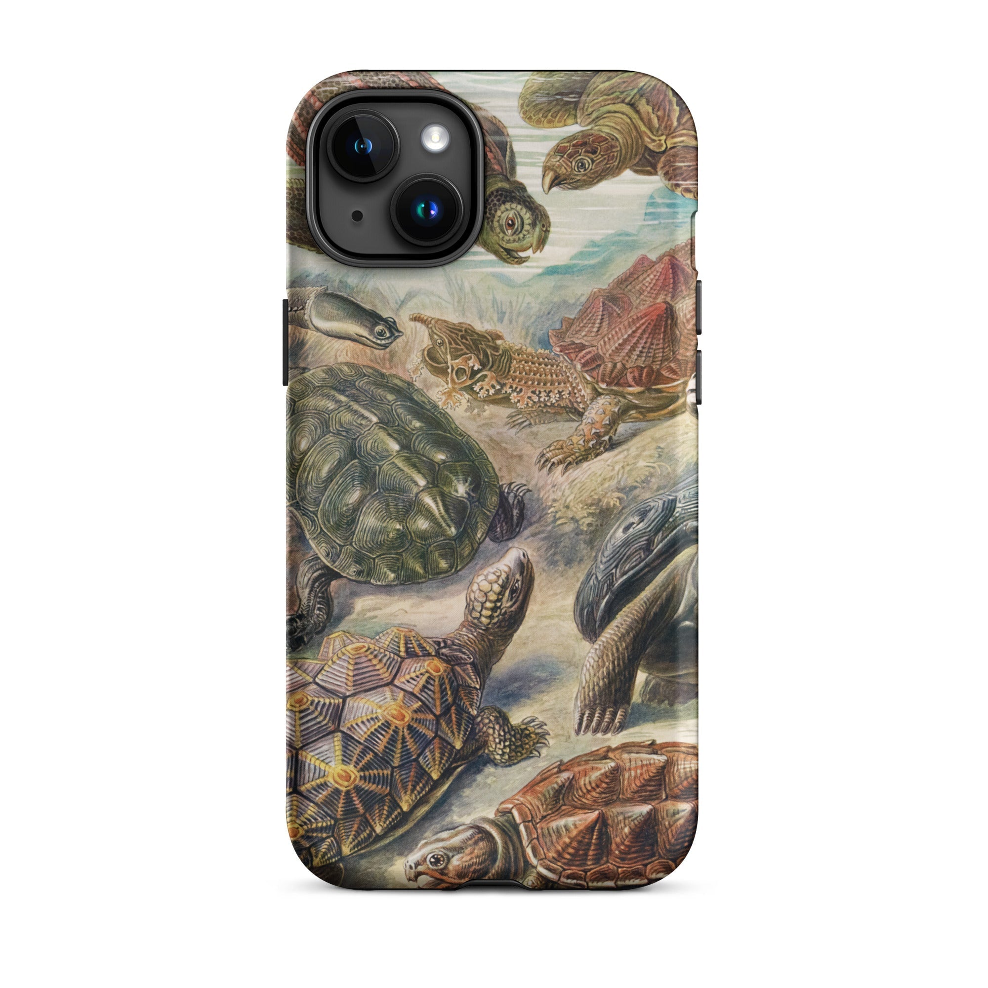 Chelonia Turtles Ernst Haeckel Iphone Case, 15 Plus / Matte, Turtle Themed Phone Case