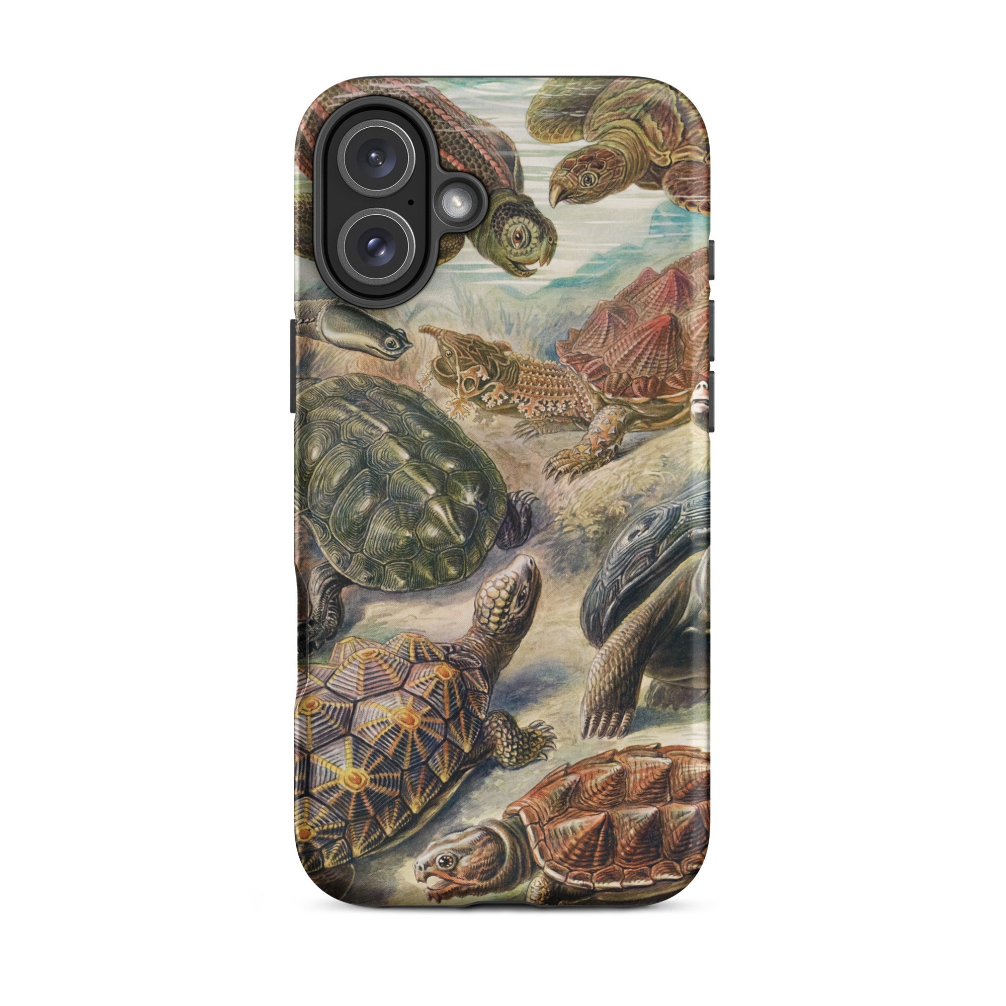 Chelonia Turtles Ernst Haeckel Iphone Case, 16 Plus / Matte, Turtle Themed Phone Case