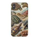 Chelonia Turtles - Ernst Haeckel Iphone Case, x / Matte, Turtle-themed Phone Case