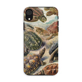 Chelonia Turtles - Ernst Haeckel Iphone Case, Xr / Matte, Turtle-themed Phone Case