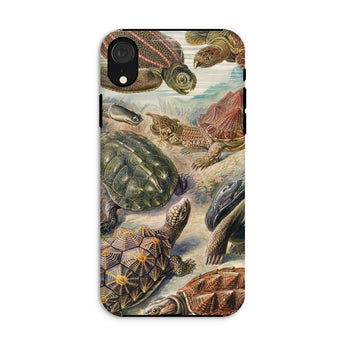 Chelonia Turtles - Ernst Haeckel Iphone Case, Xr / Matte, Turtle-themed Phone Case