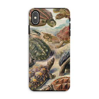 Chelonia Turtles - Ernst Haeckel Iphone Case, Xs Max / Matte, Turtle-themed Phone Case
