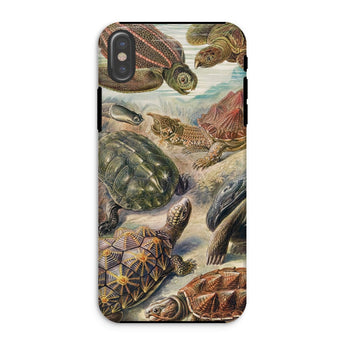 Chelonia Turtles - Ernst Haeckel Phone Case Iphone Xs / Matte Turtle-themed Phone Case Chelonia Turtles, Haeckel Iphone Case, Fractures Time