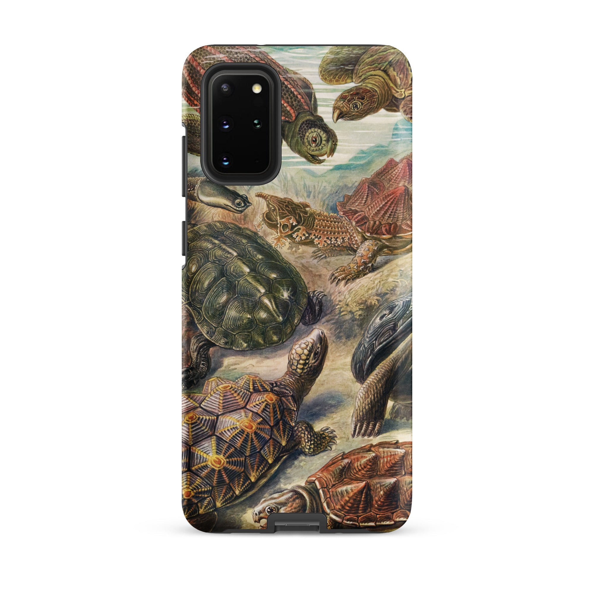 Chelonia Turtles Ernst Haeckel Samsung Case, Galaxy S20 Plus / Matte, Smartphone Case Detailed Illustration Turtle Tortoise Species