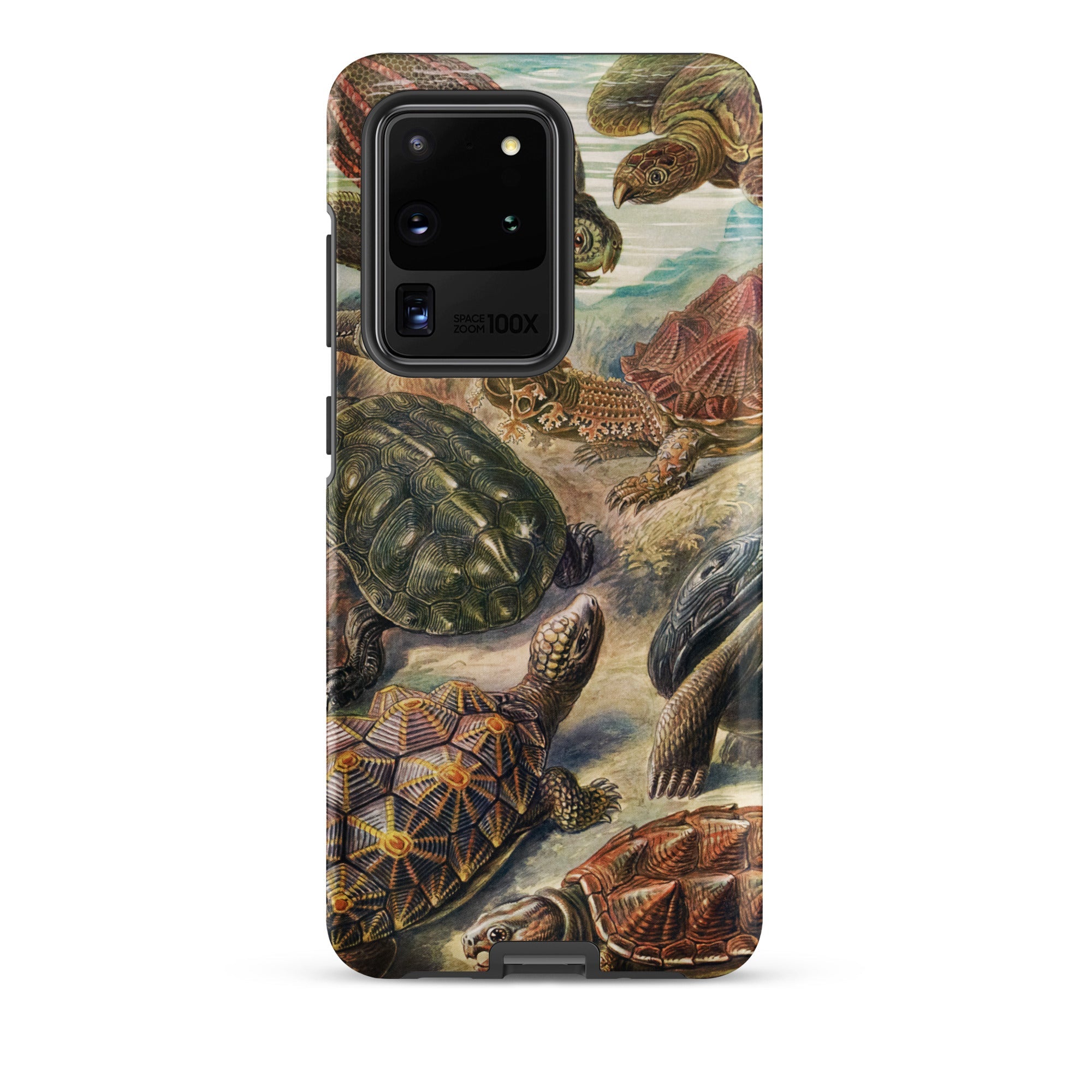 Chelonia Turtles Ernst Haeckel Samsung Case, Galaxy S20 Ultra / Matte, Smartphone Case Vibrant Tortoise Turtle Print