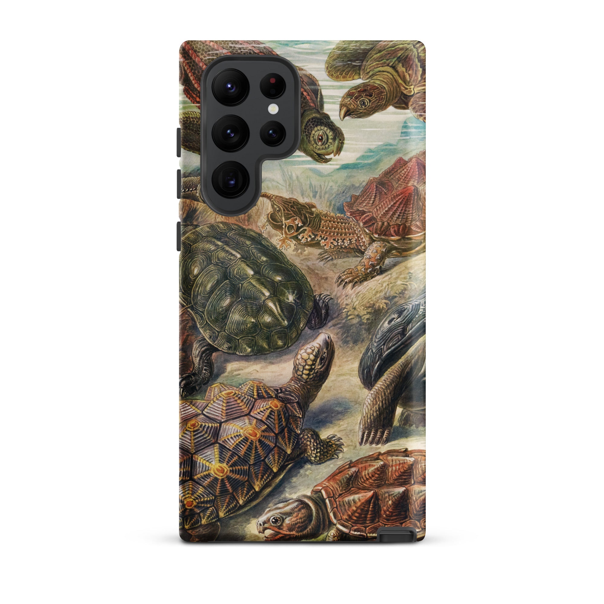 Chelonia Turtles Ernst Haeckel Samsung Case, Galaxy S22 Ultra / Matte, Smartphone Case Detailed Illustration Turtles Tortoises