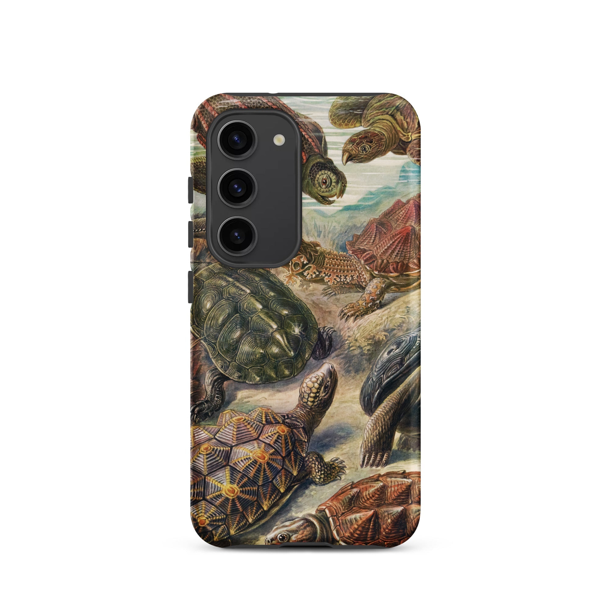 Chelonia Turtles Ernst Haeckel Samsung Case, Galaxy S23 / Matte, Phone Case Collage Tortoise Illustrations