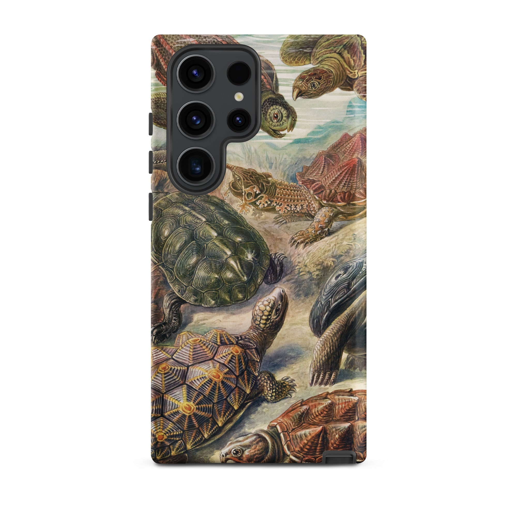 Chelonia Turtles Ernst Haeckel Samsung Case, Galaxy S23 Ultra / Matte, Phone Case Detailed Illustration Turtles Tortoises