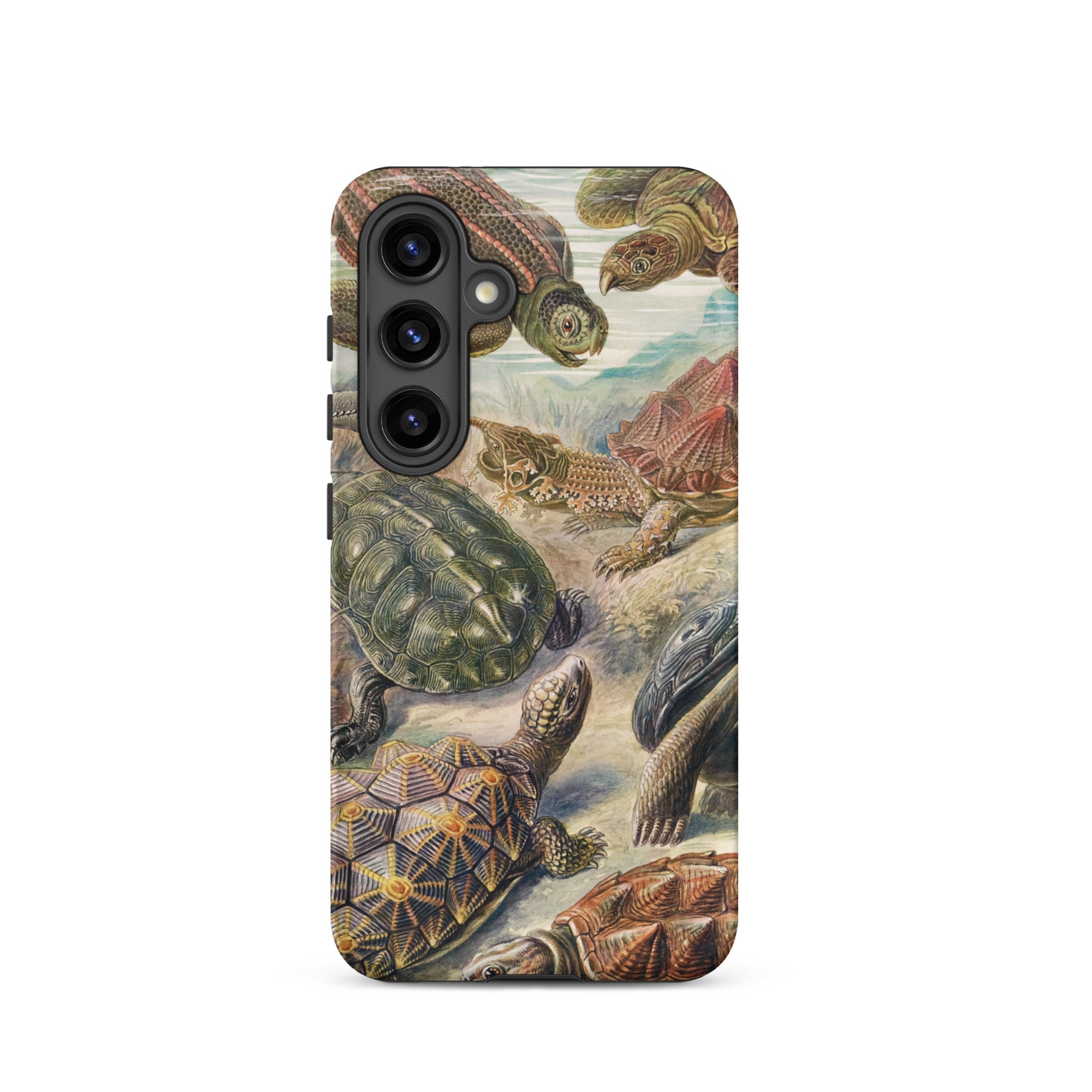 Chelonia Turtles Ernst Haeckel Samsung Case, Galaxy S24 / Matte, Phone Case Vibrant Artistic Depiction Turtles Tortoises