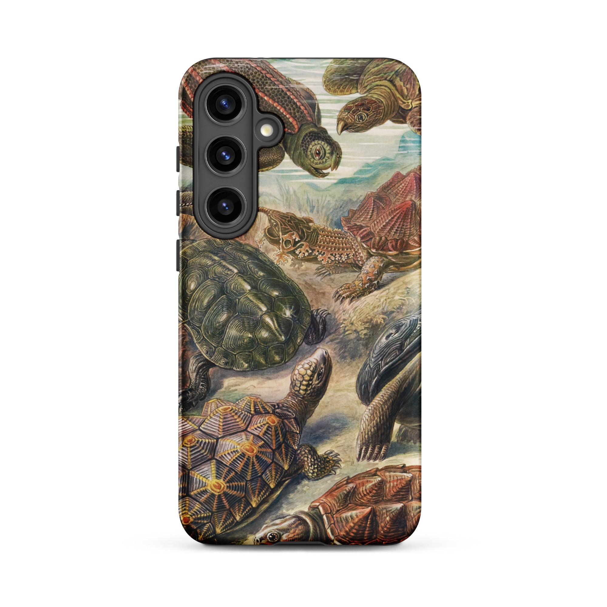 Chelonia Turtles Ernst Haeckel Samsung Case, Galaxy S24 Plus / Matte, Smartphone Case Vibrant Illustration Turtles Tortoises