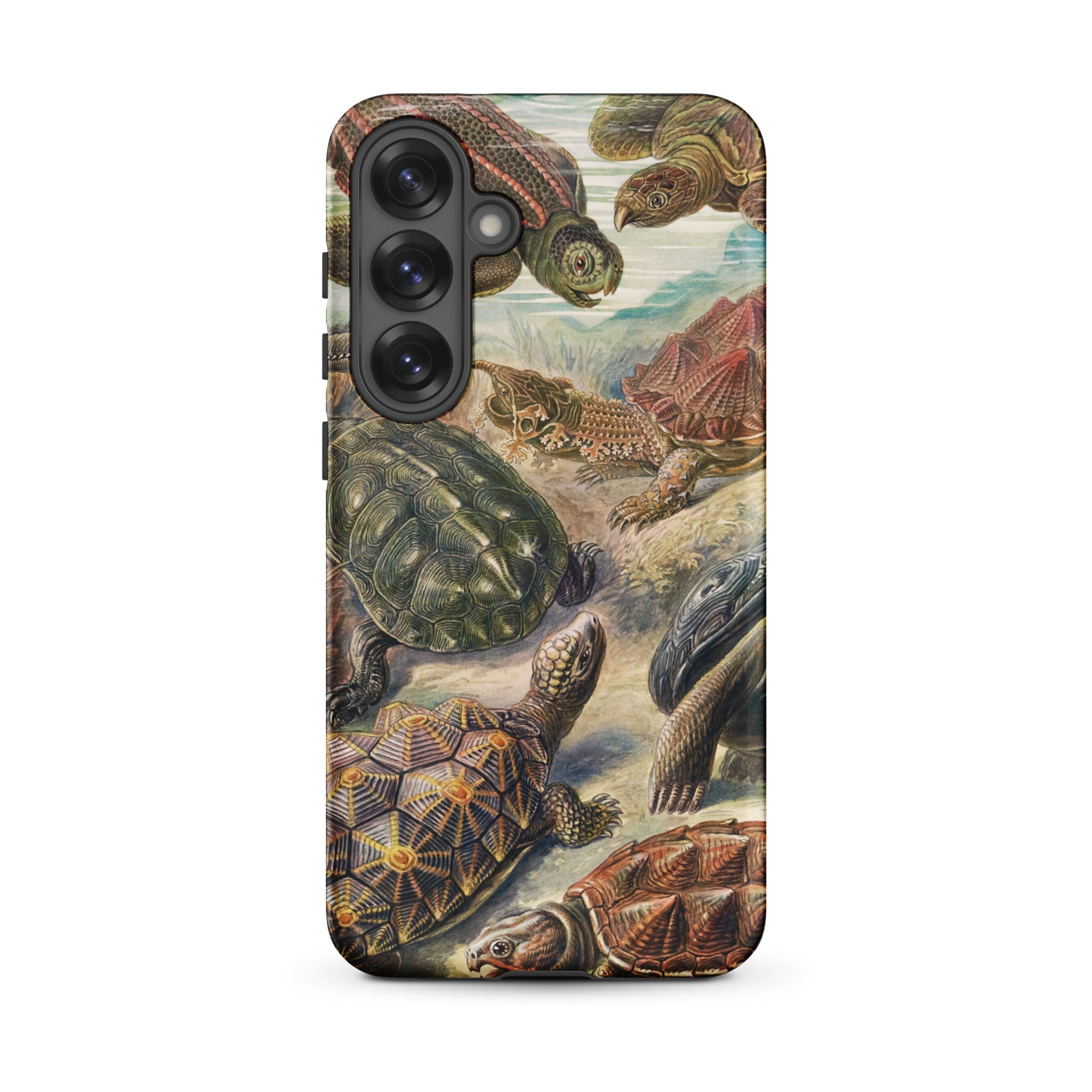 Chelonia Turtles Ernst Haeckel Samsung Case, Galaxy S25 Plus / Matte, Smartphone Case Vibrant Detailed Illustration Turtles Tortoises