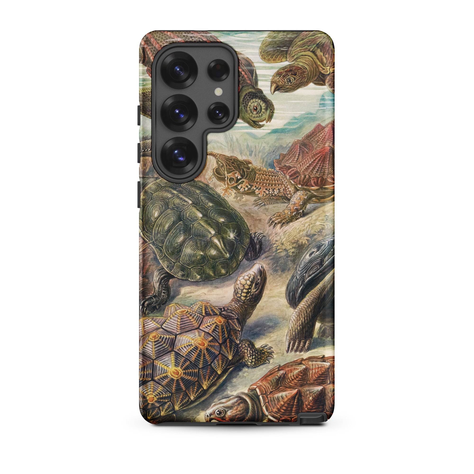 Chelonia Turtles Ernst Haeckel Samsung Case, Galaxy S25 Ultra / Matte, Smartphone Case Detailed Illustration Turtles Tortoises