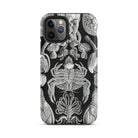 Cirripedia Barnacles Ernst Haeckel Iphone Case, 11 Pro / Matte, Black Phone Case Sea Creature Design