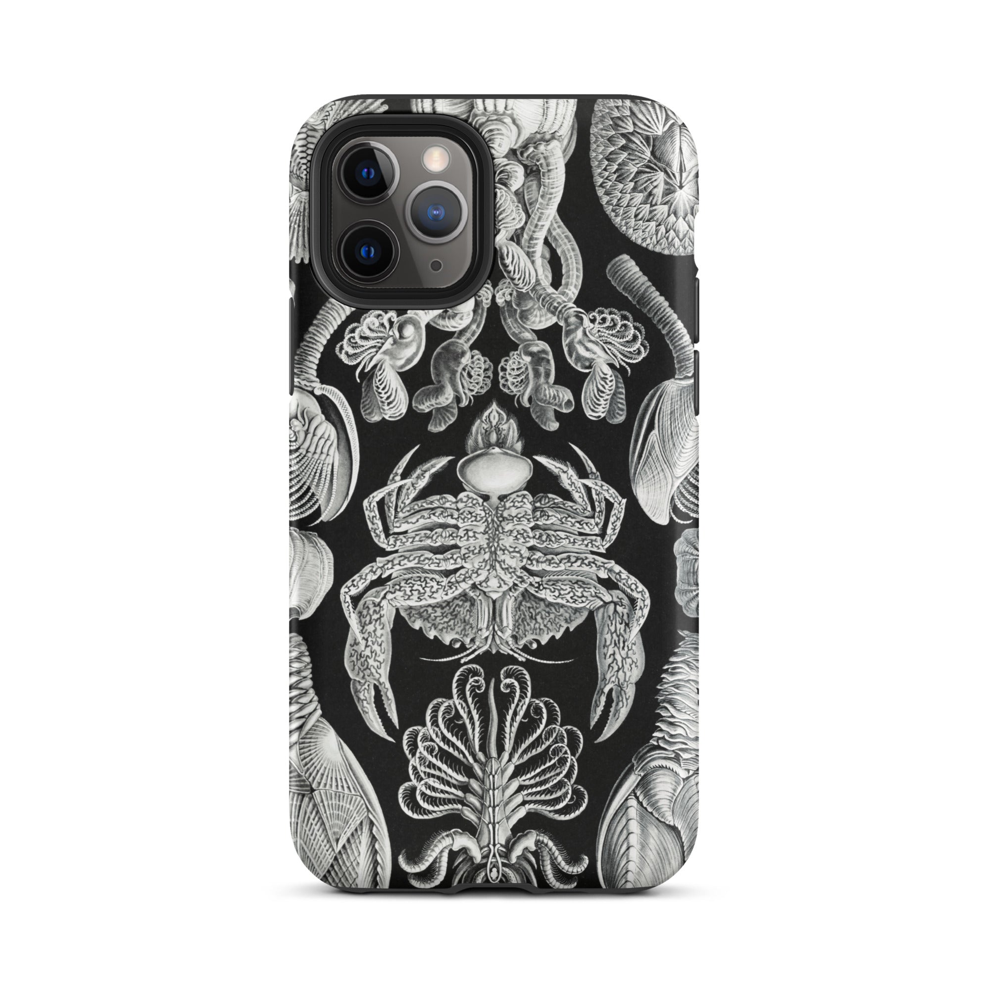 Cirripedia Barnacles Ernst Haeckel Iphone Case, 11 Pro / Matte, Black Phone Case Sea Creature Design
