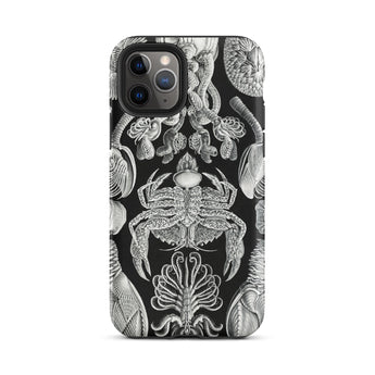 Cirripedia Barnacles - Ernst Haeckel Iphone Case, 11 Pro / Matte, Black Phone Case Sea Creature Design
