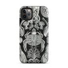 Cirripedia Barnacles Ernst Haeckel Iphone Case, 11 Pro Max / Matte, Black Phone Case Sea Creature Illustrations